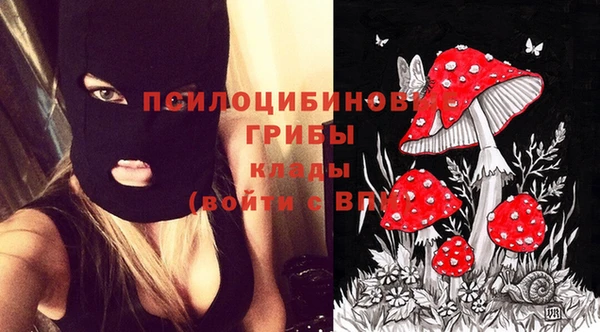 mix Абаза